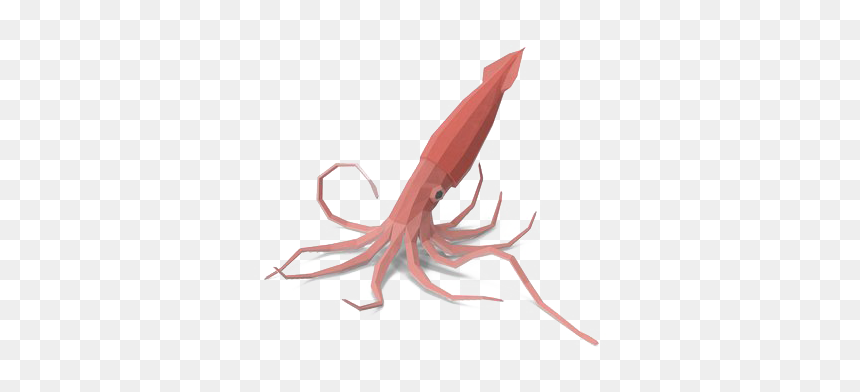 Squid No Background - Octopus, HD Png Download - squid png