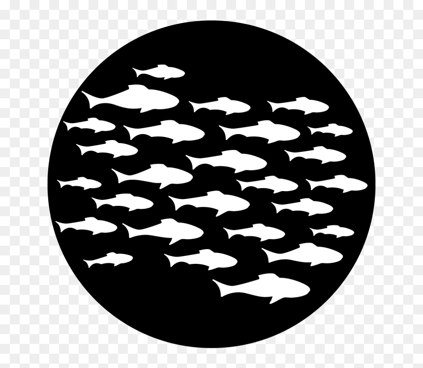 Transparent School Fish Png - Gobo, Png Download - school of fish png
