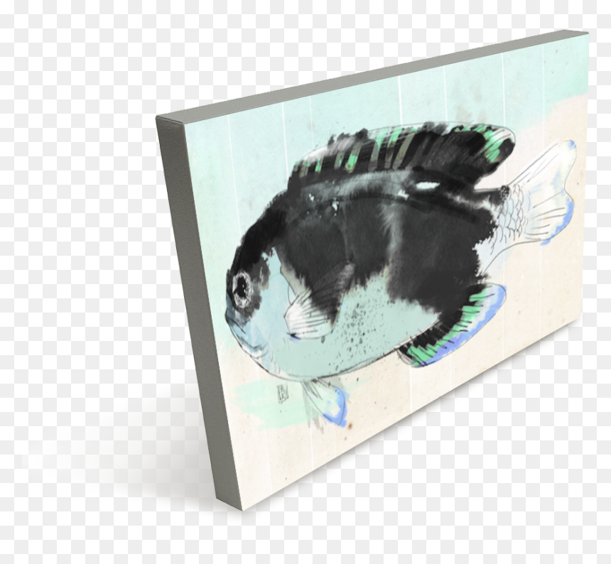 School Of Fish - Fish, HD Png Download - school of fish png
