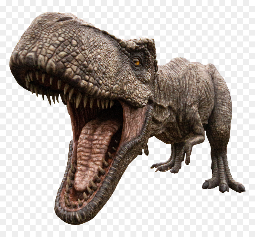 Dino Park, HD Png Download - trex png