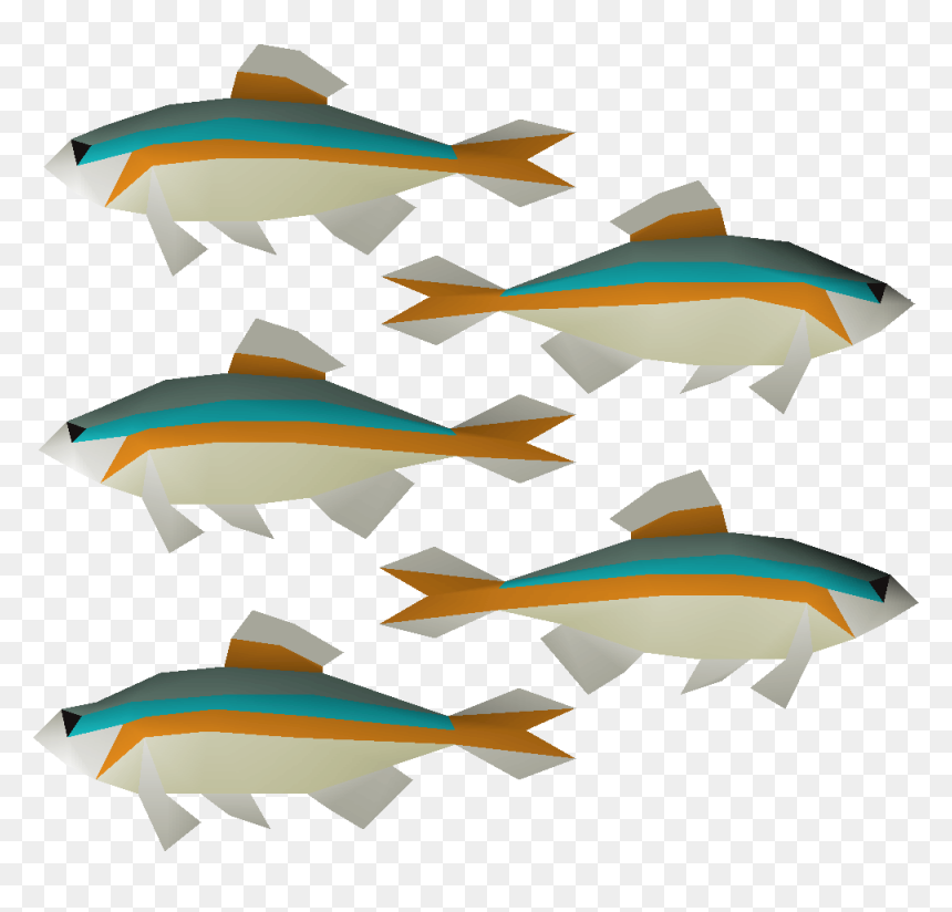 Old School Runescape Wiki - Minnow Png, Transparent Png - school of fish png