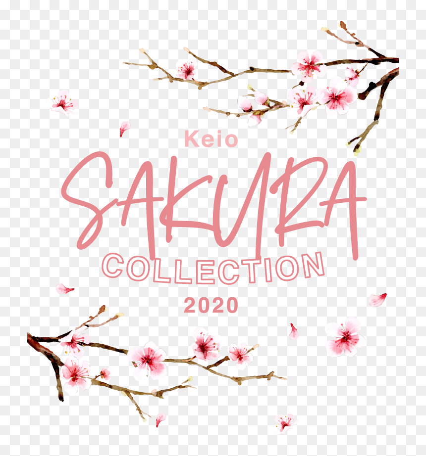Sakura Collection｜京王百貨店 新宿店 - Calligraphy, HD Png Download - cherry blossom petals png