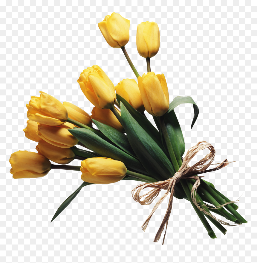 Flower Bouquets Transparent Background, HD Png Download - bouquet png