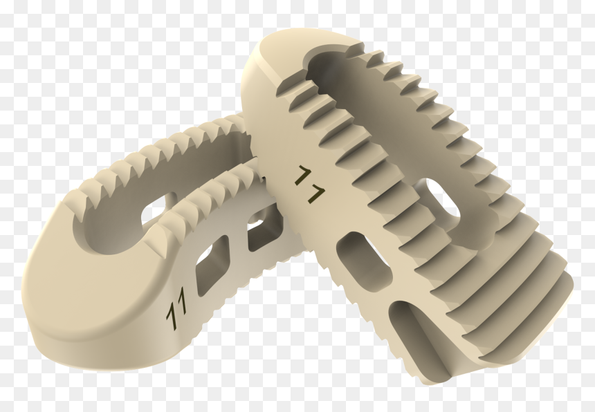 Silverstone Peek Ibf System - Peek Spinal Cage, HD Png Download - spine png