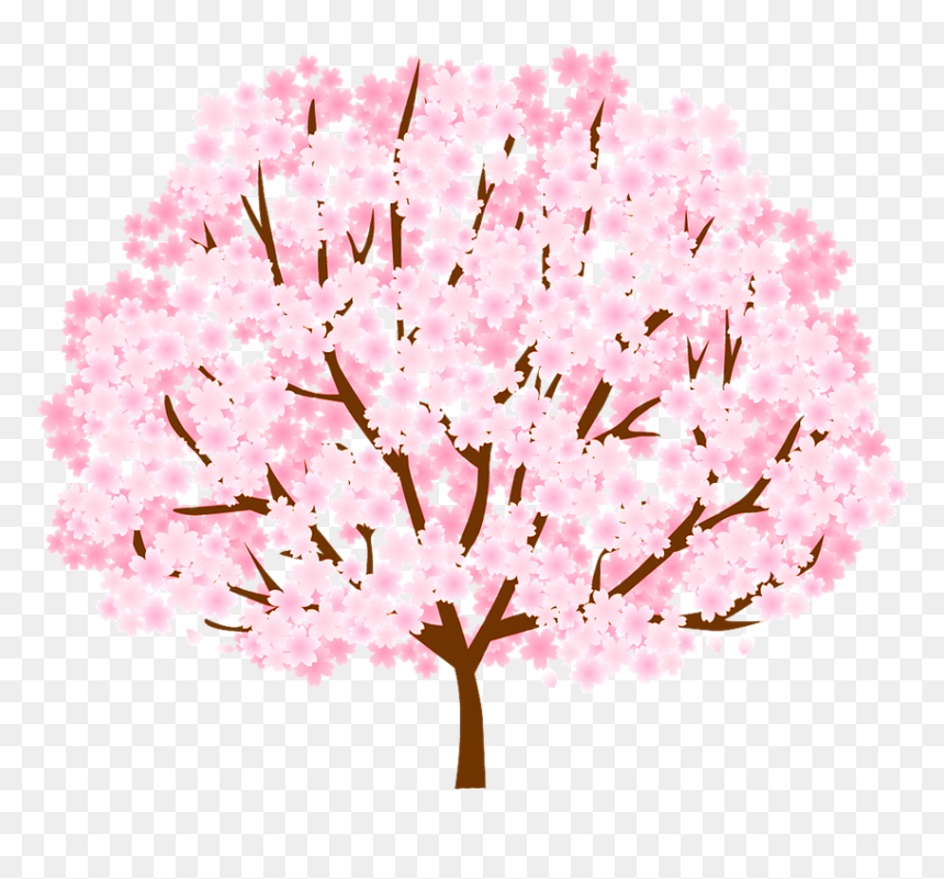 Cherry Blossom, HD Png Download - cherry blossom petals png