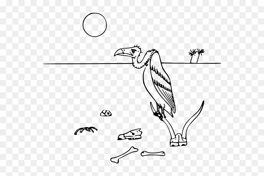 Vulture In Desert Vector Illustration - Black And White Desert Animal Clipart, HD Png Download - desert png