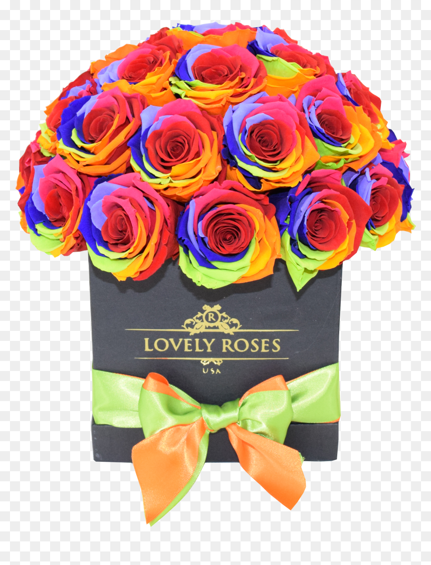 Deluxe Rainbow Black Box - Garden Roses, HD Png Download - black box png