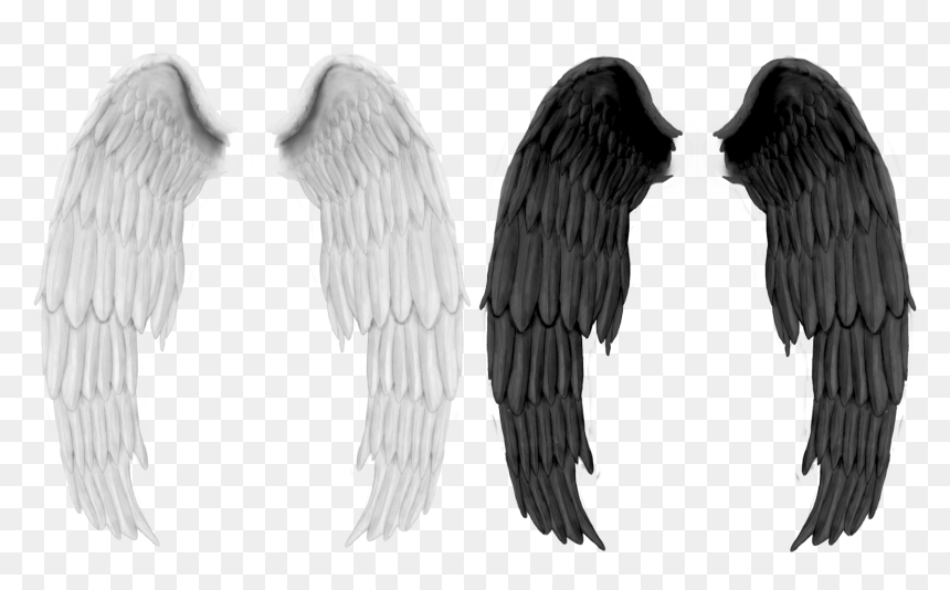 Black Wings - Petronas Towers, HD Png Download - angel wing png