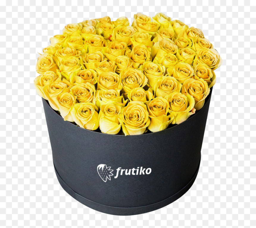 Yellow Roses Black Box - Theodore Roosevelt Park, HD Png Download - black box png