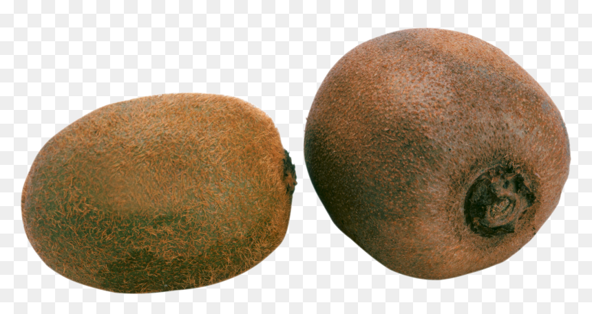 2 Kiwis Png, Transparent Png - kiwi png