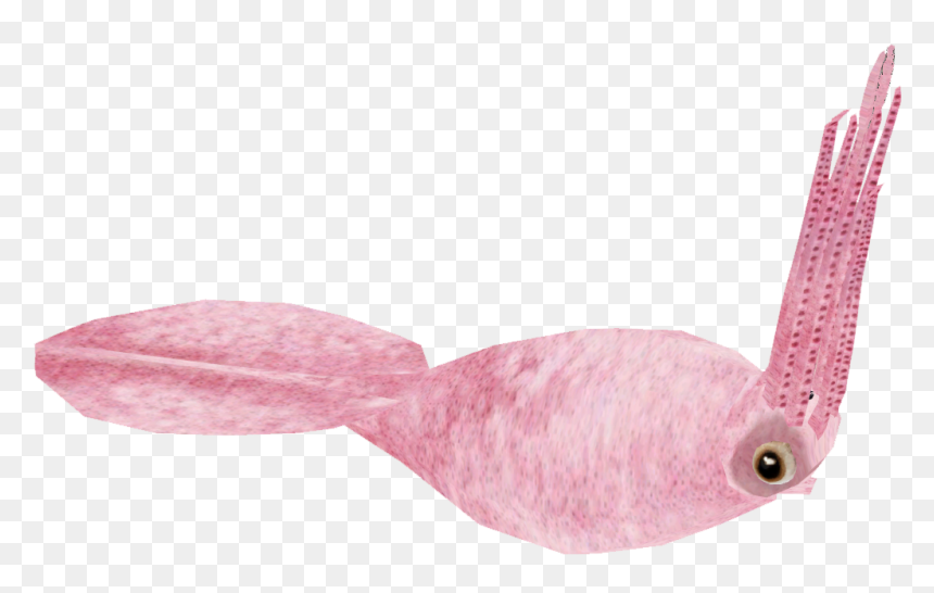 Transparent Giant Squid Png - Pomacentridae, Png Download - squid png