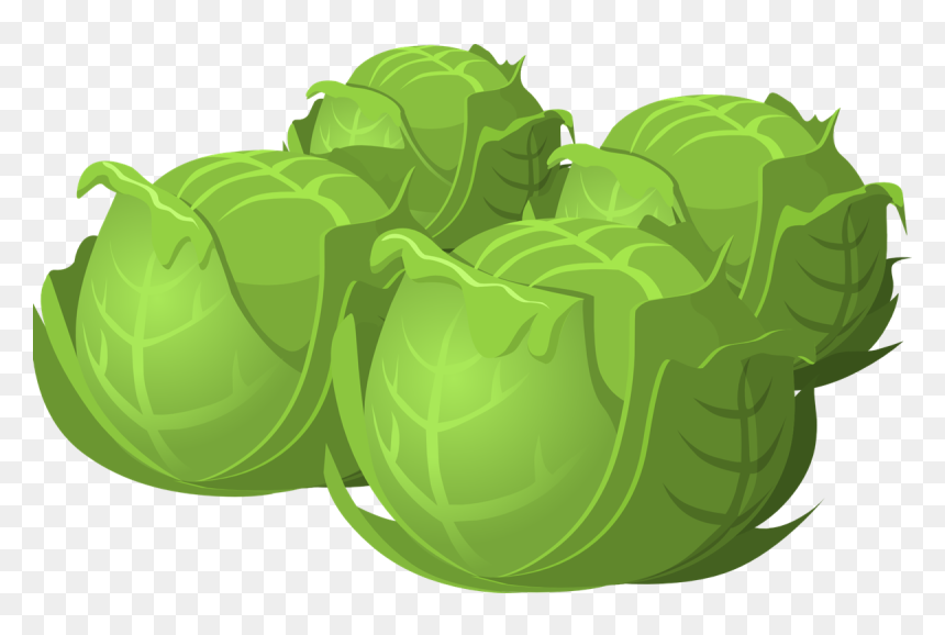 Beauty Benefits Of - Cabbage Png Cartoon, Transparent Png - leafy png