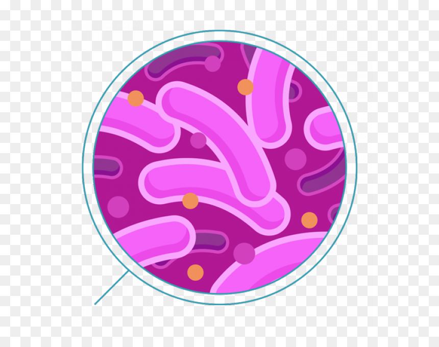 Bactéria Png, Transparent Png - bacteria png