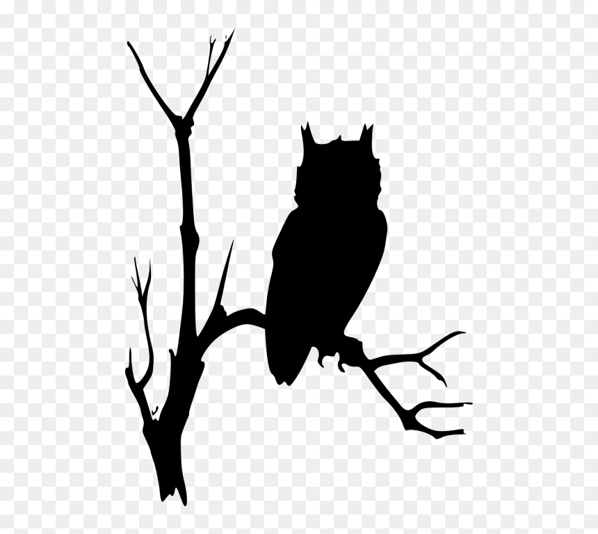Owl Clip Art, HD Png Download - spooky forest.png