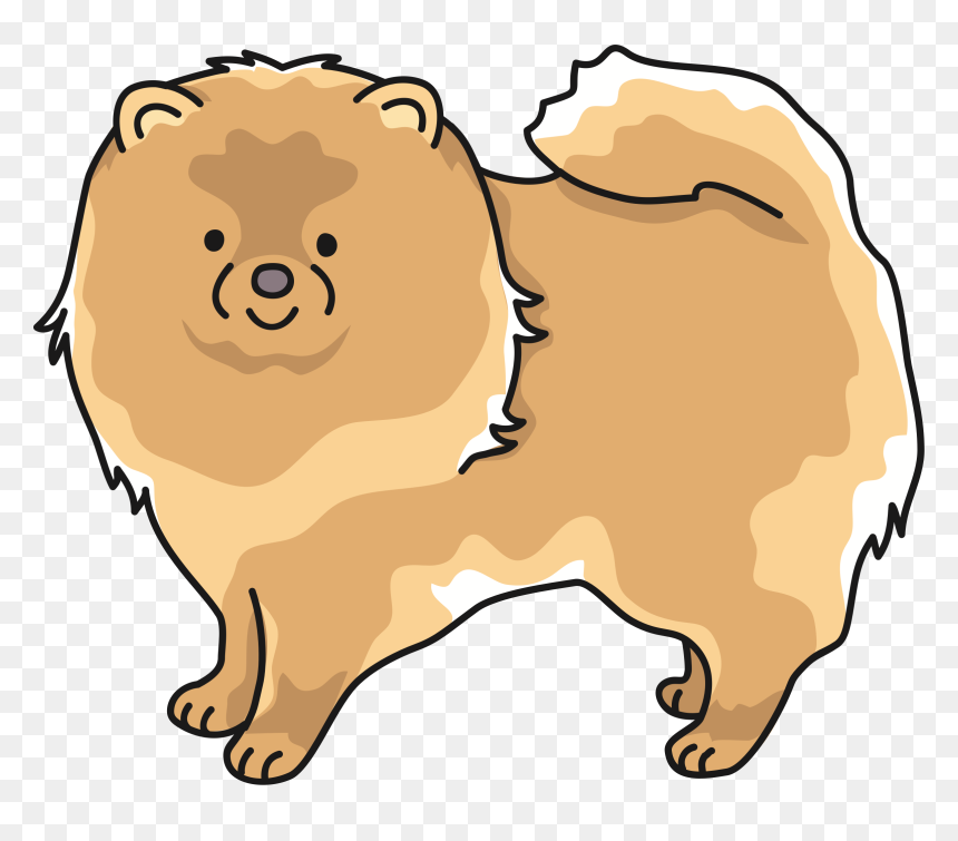 Pomeranian Clipart , Png Download - Pomeranian, Transparent Png - paper rip png