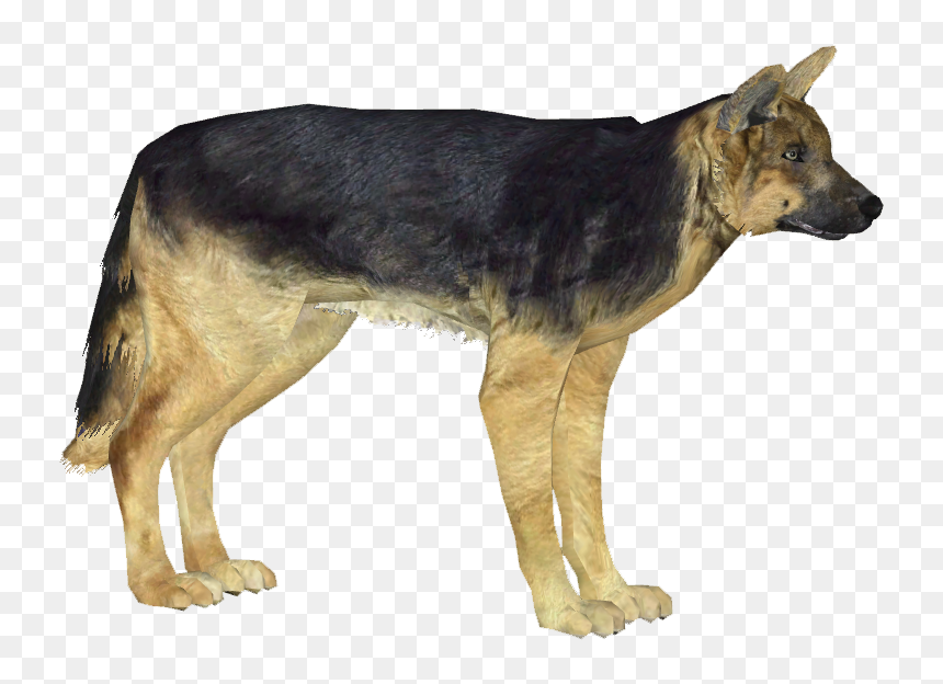 German Shepherd Dog - German Shepherd, HD Png Download - german shepherd png