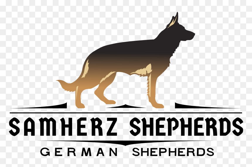 Old German Shepherd Dog , Png Download - Old German Shepherd Dog, Transparent Png - german shepherd png