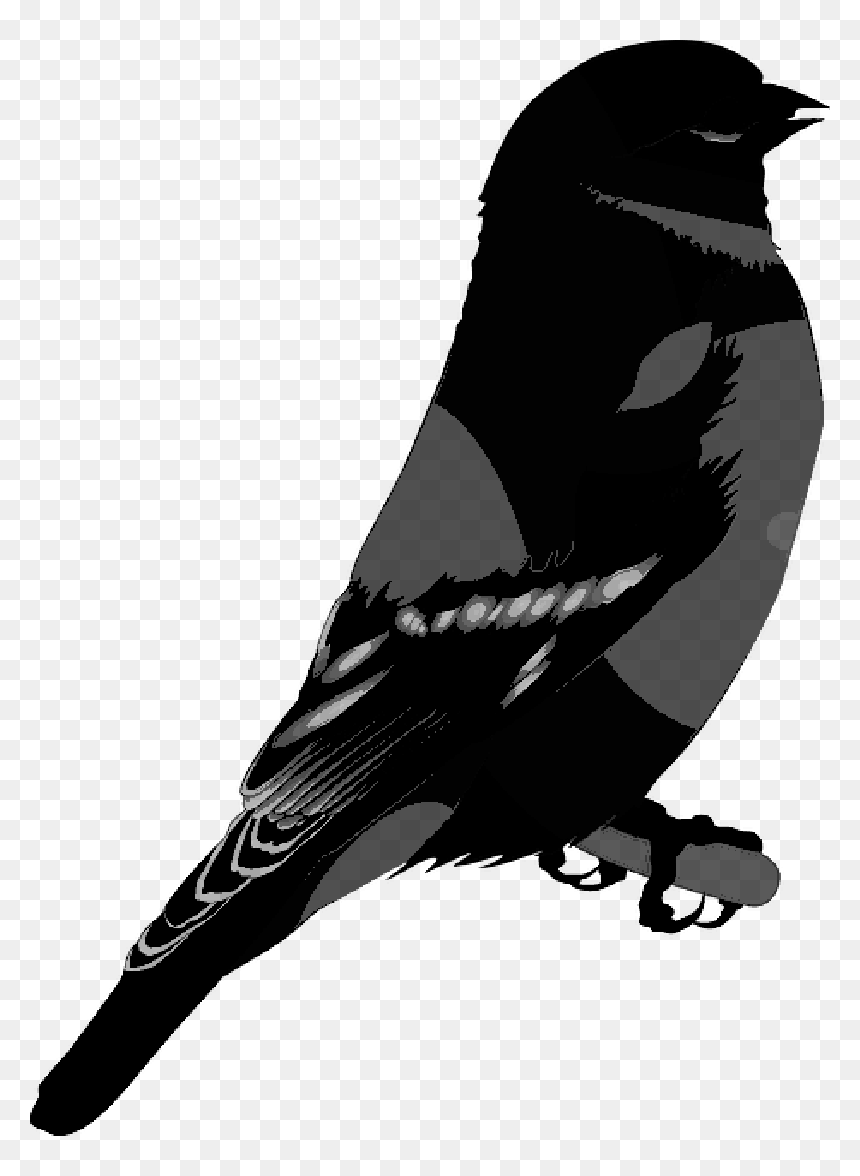 Crow Family Png - Perching Bird, Transparent Png - family silhouette png