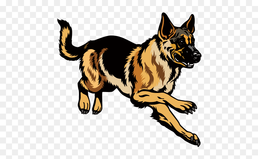 German Shepherd Puppy Stock Photography Clip Art, HD Png Download - german shepherd png