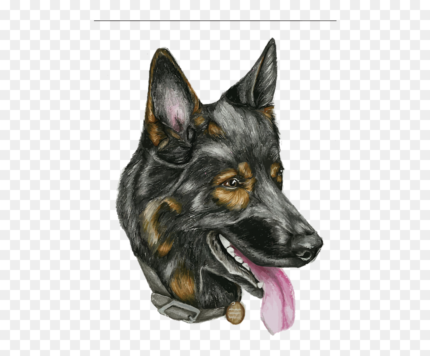 German Shepherd Head Png - Dog Head Png, Transparent Png - german shepherd png
