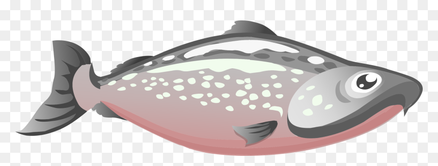 Pink,jaw,fish - Salmon Clipart Png, Transparent Png - salmon png