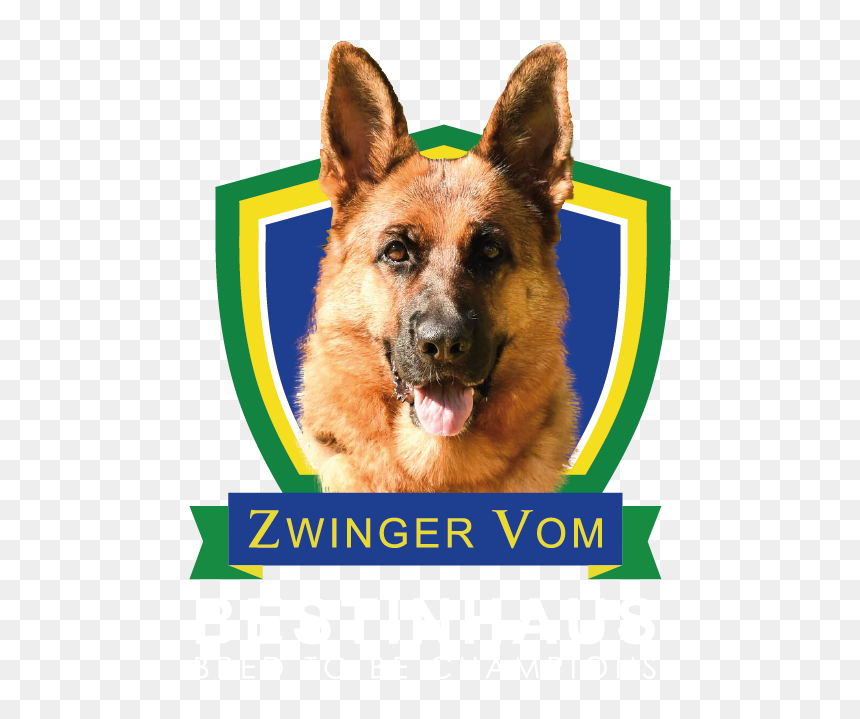 Zwinger Vom Bestinhaus - Keep Calm And Marry Harry, HD Png Download - german shepherd png
