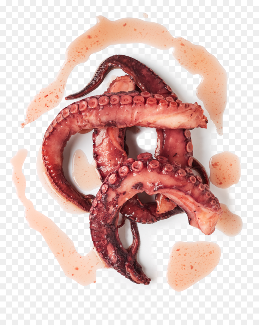 Pretzel, HD Png Download - tentacles png