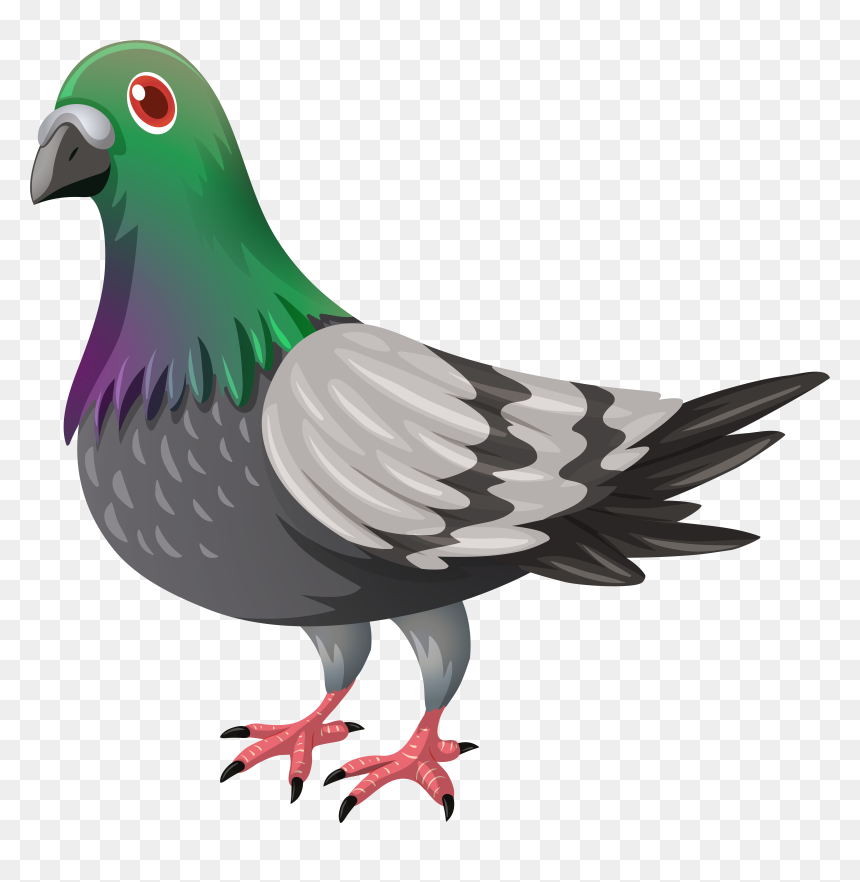 Background Transparentpng, Png Download - white pigeon png