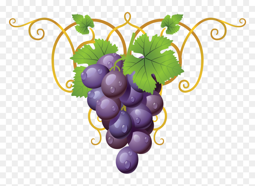 Grapevine Clipart Transparent - Grapes Clipart, HD Png Download - cliparts png