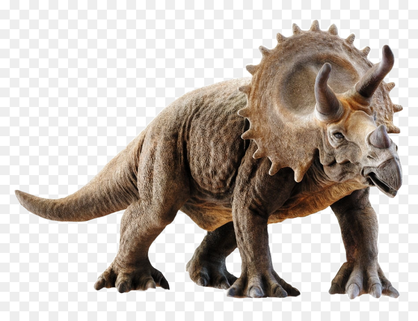 Triceratops 3d Model , Png Download - Triceratops Png, Transparent Png - triceratops png