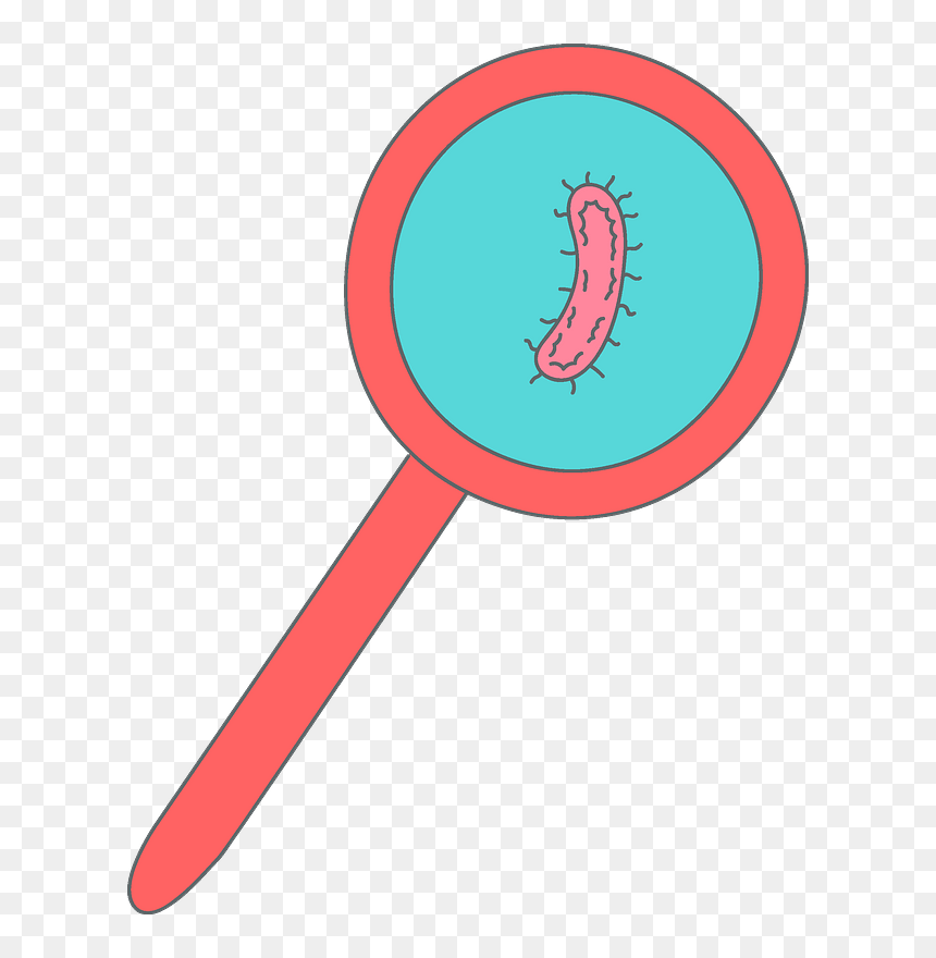 Bacteria In A Magnifying Glass Clipart, HD Png Download - bacteria png