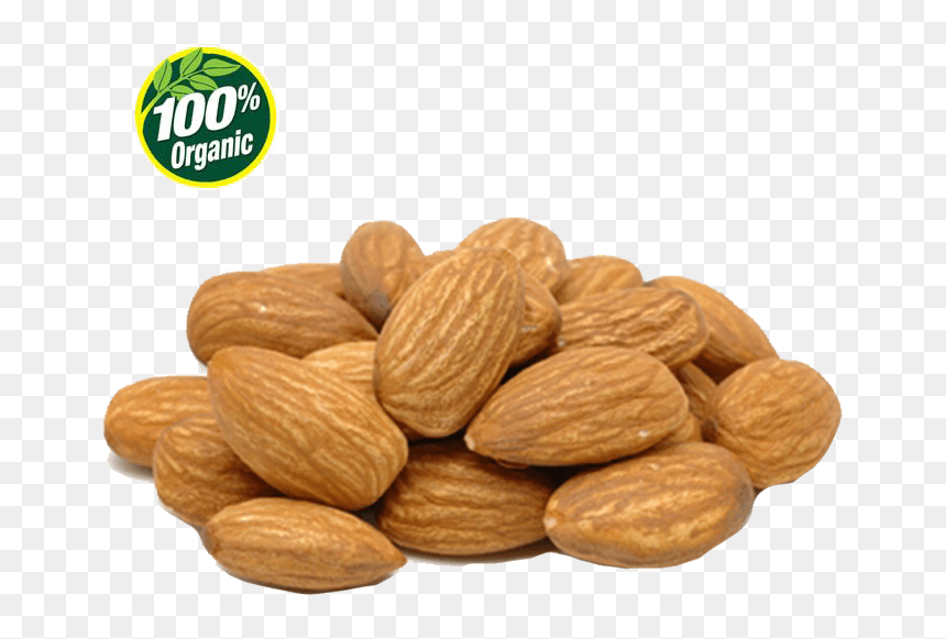 Nut, HD Png Download - badam png
