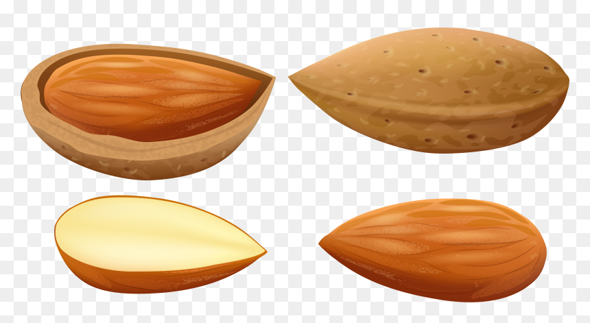 Almonds Clip Art, HD Png Download - badam png