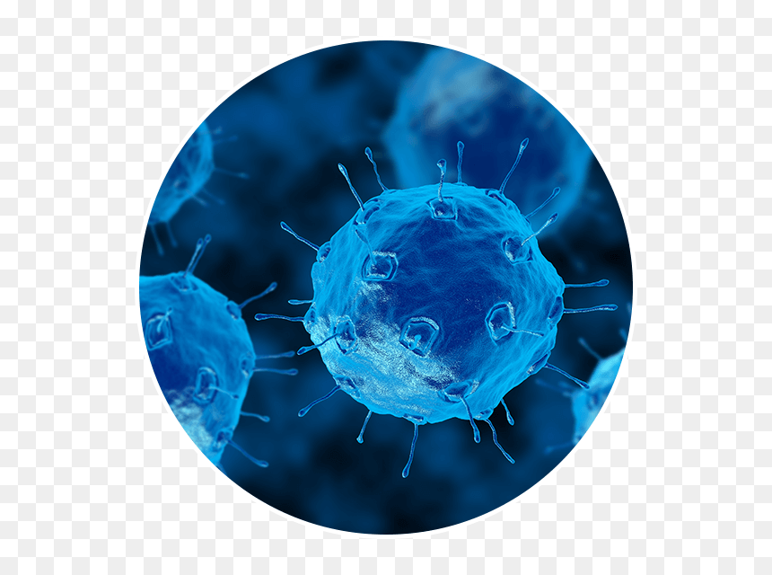 Transparent Infection Png - Real Bacteria In Circle, Png Download - bacteria png