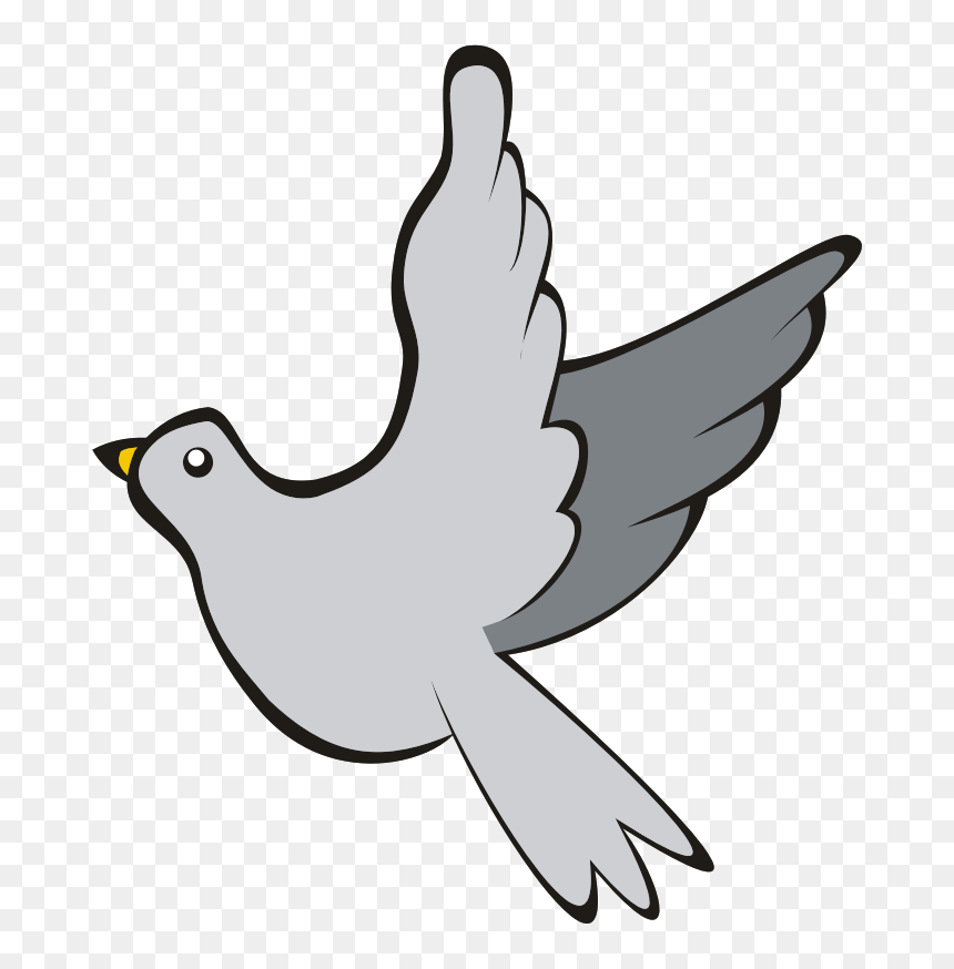 Bird Columbidae Duck Line Art Download - นก Png, Transparent Png - white pigeon png