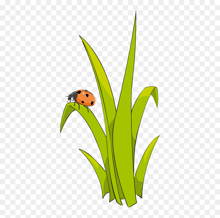 Grass To Use Hd Photo Clipart - Clip Art Grass Cartoon, HD Png Download - grass png hd