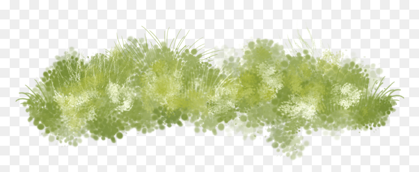 Seaweed Clipart Grass Land - Grass Painting Png, Transparent Png - grass png hd