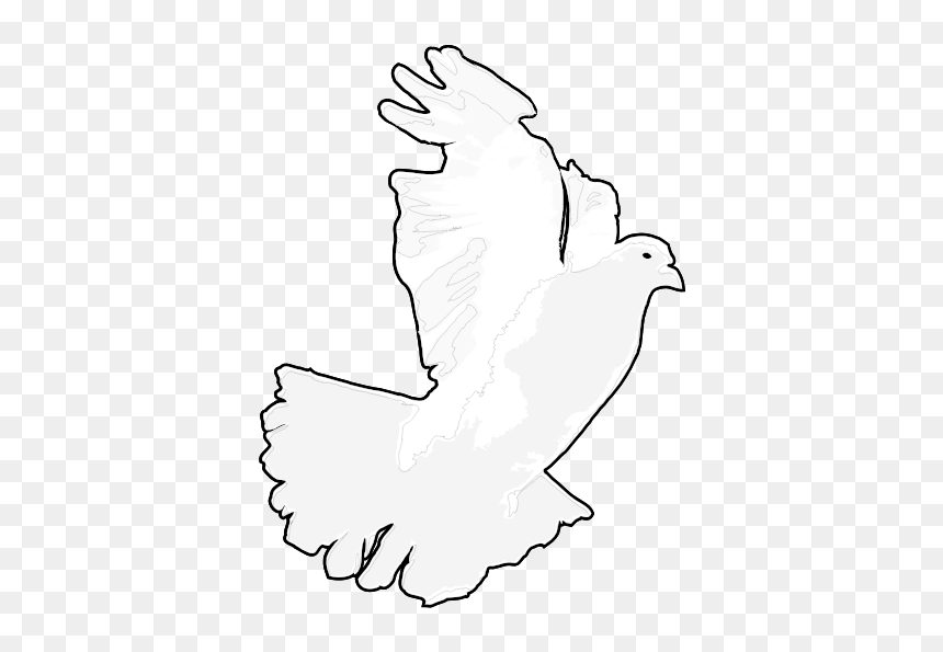 White Dove / White Pigeon, HD Png Download - white pigeon png