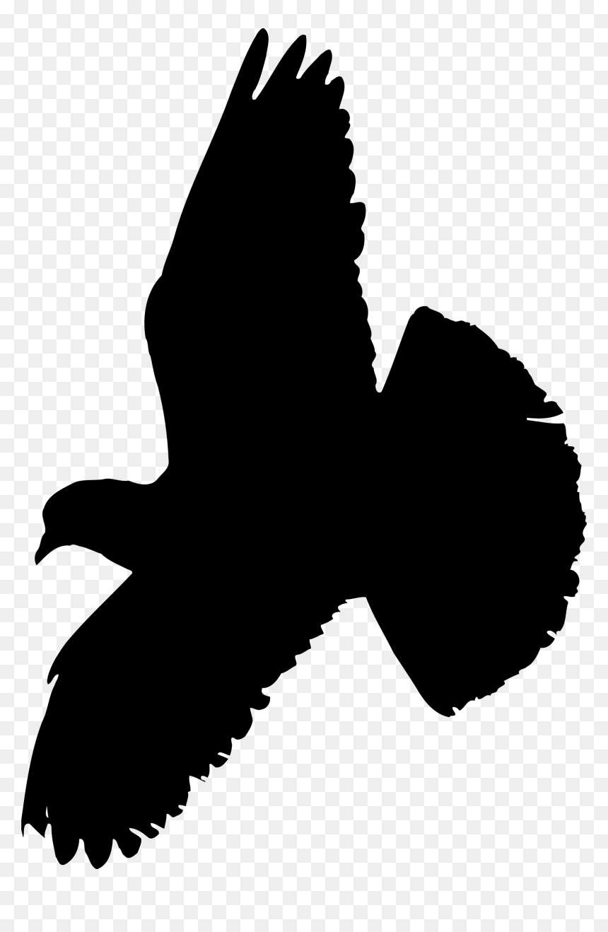 Pigeon Clip Arts - Pigeon Flying Black Png, Transparent Png - white pigeon png