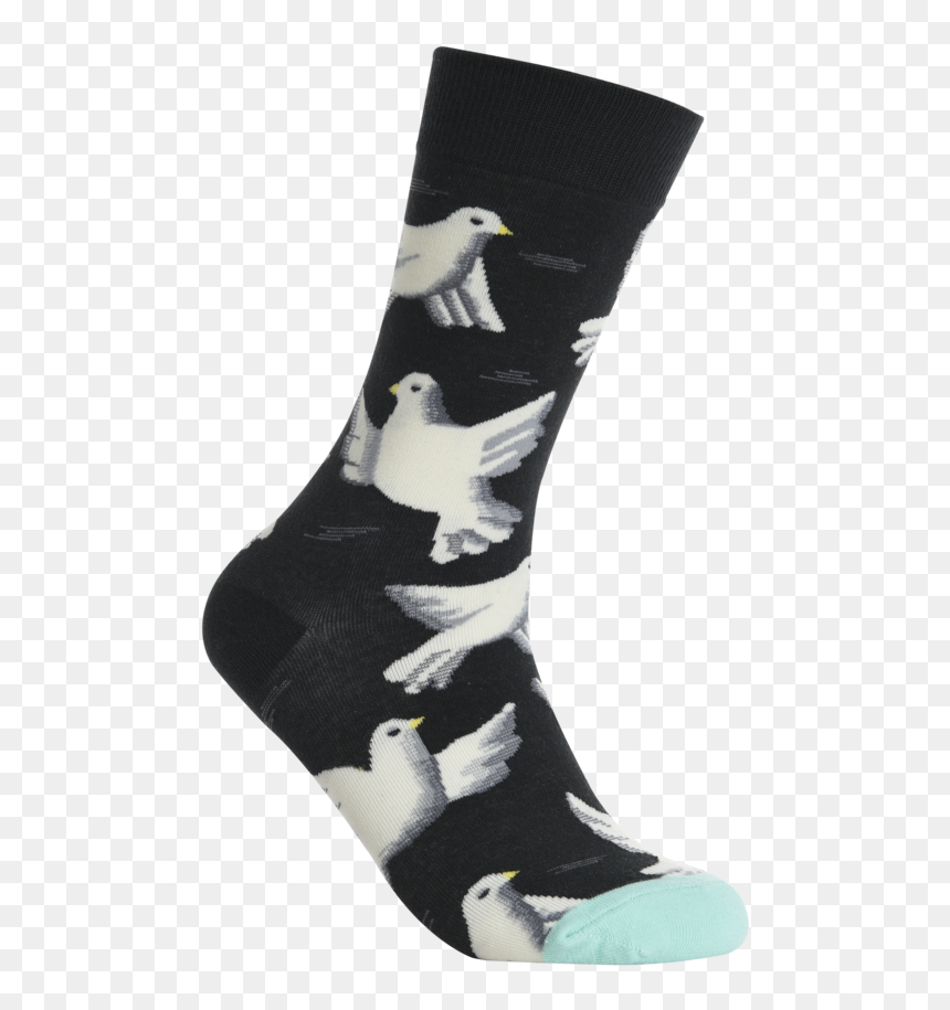 Sock, HD Png Download - white pigeon png