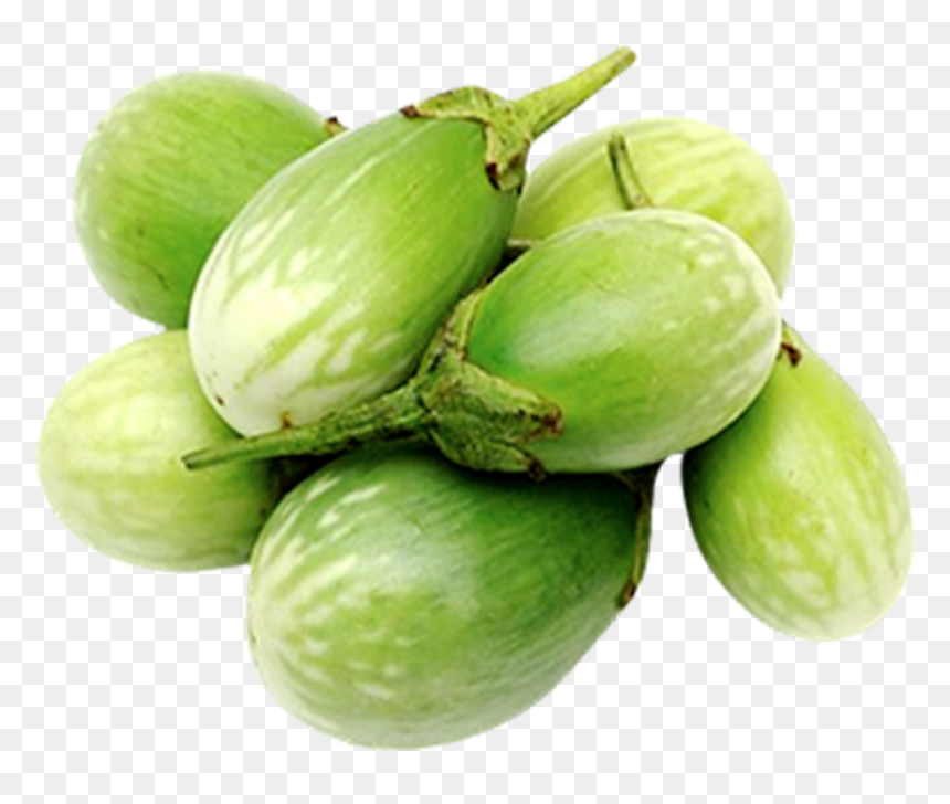 Green Brinjal, HD Png Download - brinjal png