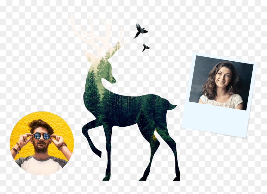Picmaker Youtube Banner Template - Donner Reindeer Silhouette, HD Png Download - youtube banner template png
