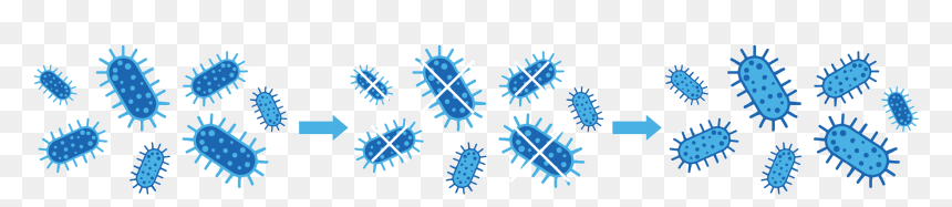 Illustration, HD Png Download - bacteria png