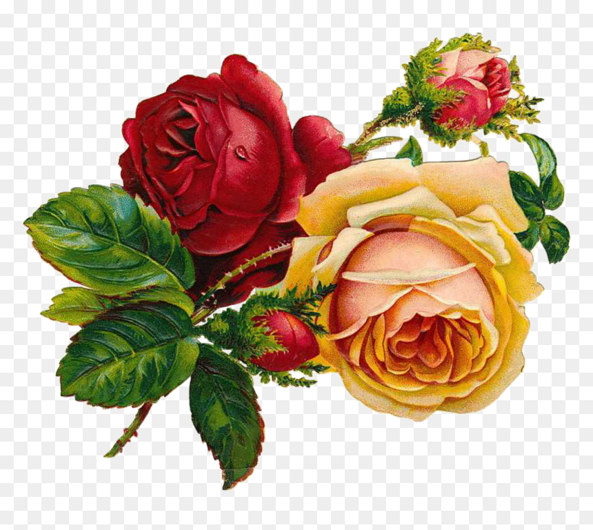 Vintage Rose Clip Art, HD Png Download - flowers png hd