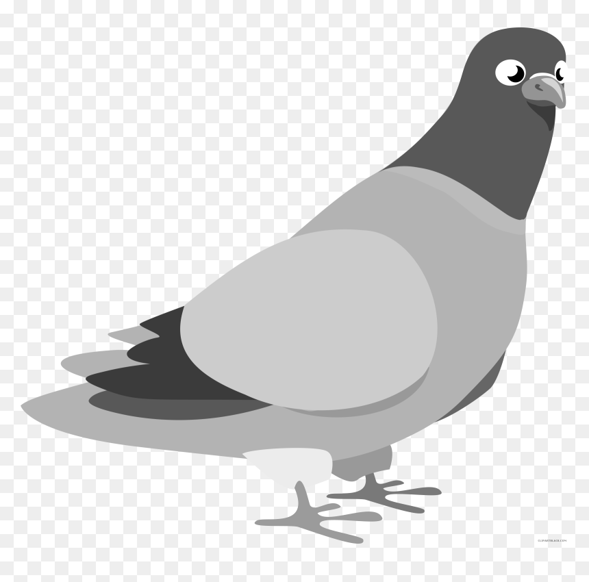 Pigeon Clipart Karuna - Pigeon Clip Art, HD Png Download - white pigeon png