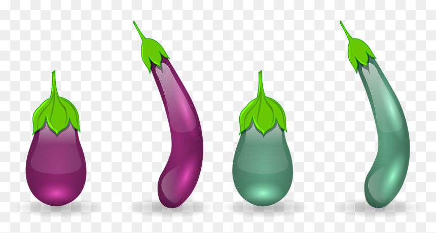 Brinjal Egg Plant Vegetable Free Photo - ภาพ มะเขือ ยาว การ์ตูน, HD Png Download - brinjal png