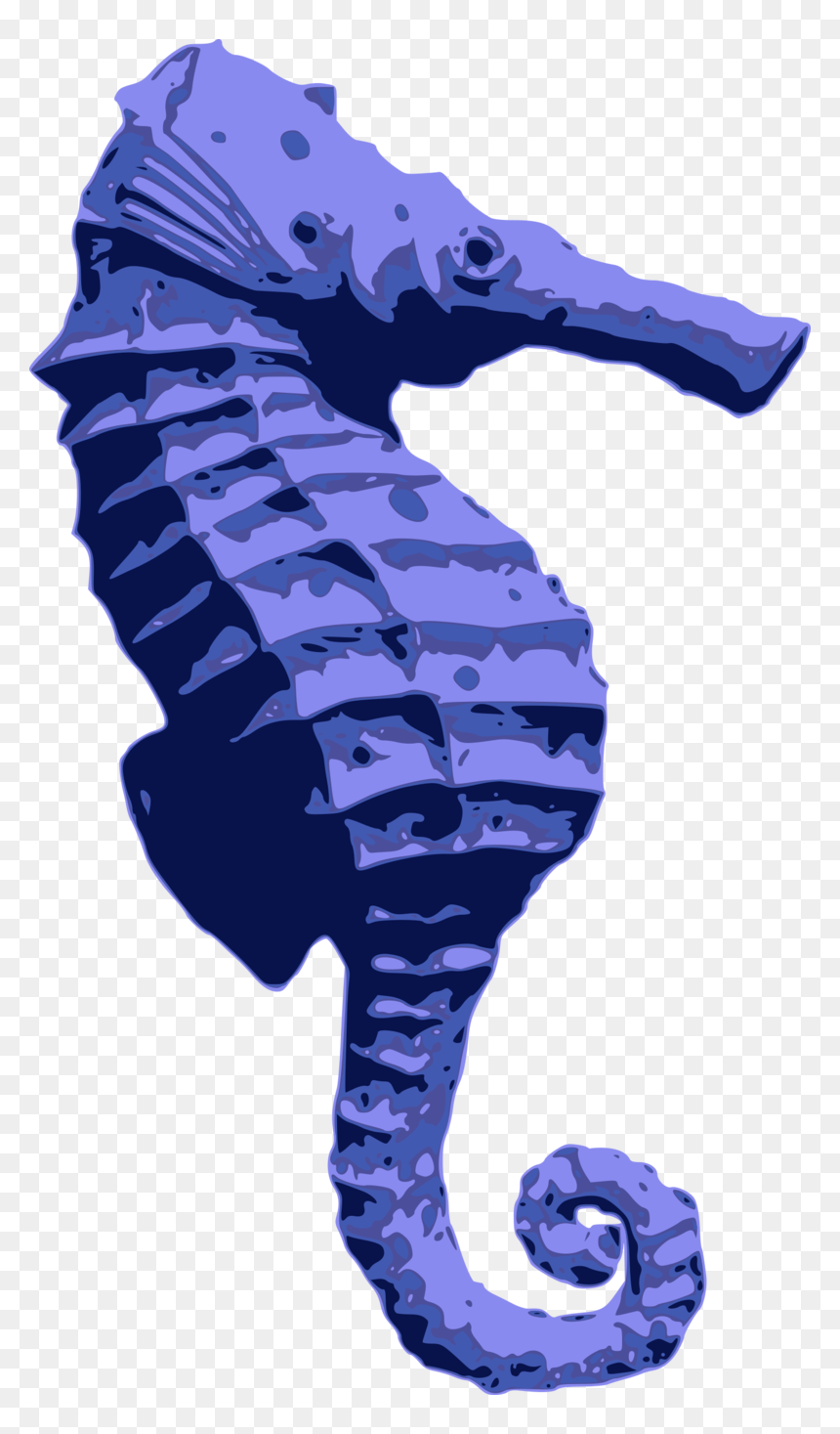 Blue Seahorse - Seahorse Png Blue, Transparent Png - seahorse png