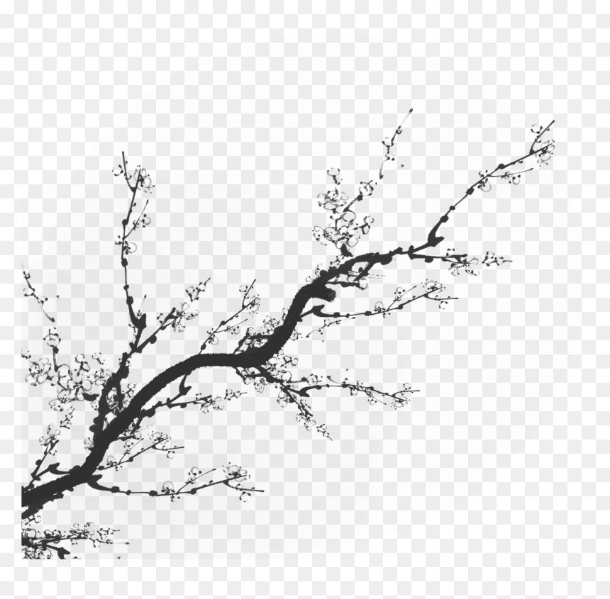 Plum Flower Png, Transparent Png - black shadow png