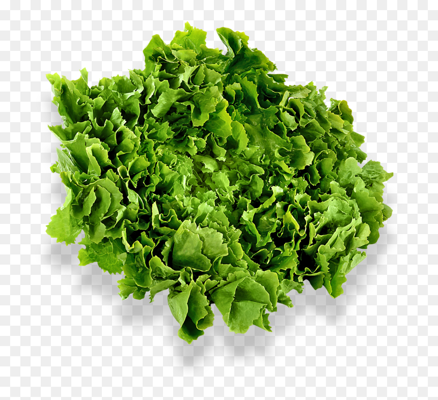 Grass, HD Png Download - black shadow png