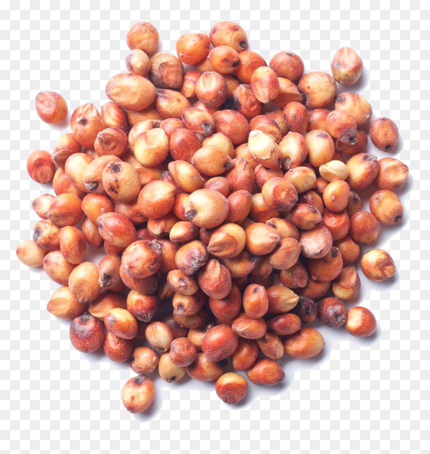 Date Palm, HD Png Download - grains png
